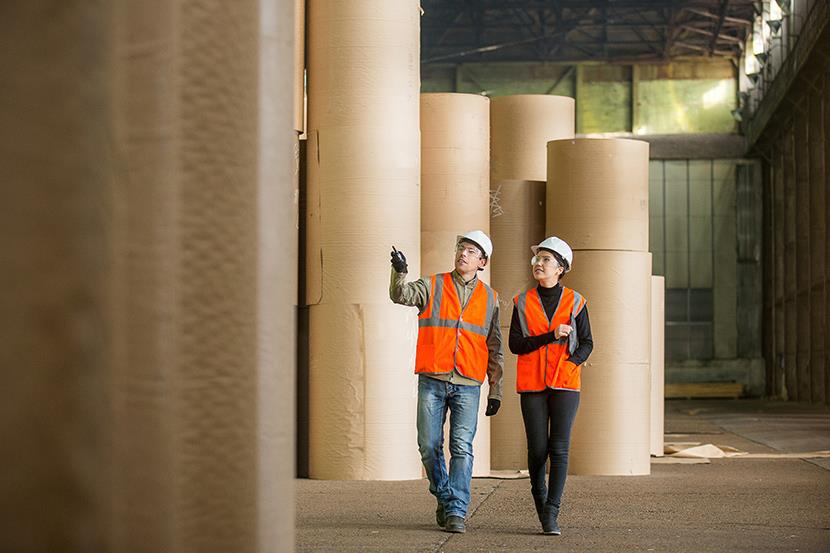 two people walking by large rolls of paper in a paper mill